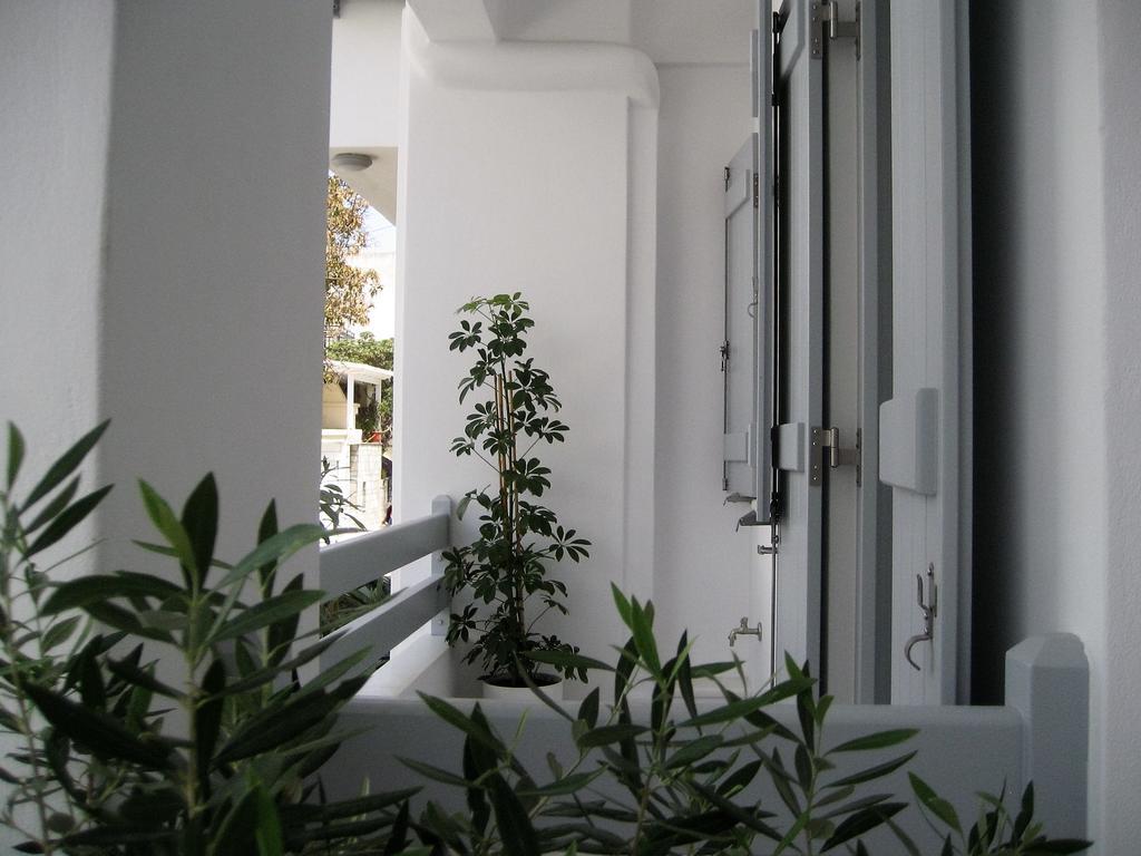 Naxos City Aelia Apartments מראה חיצוני תמונה